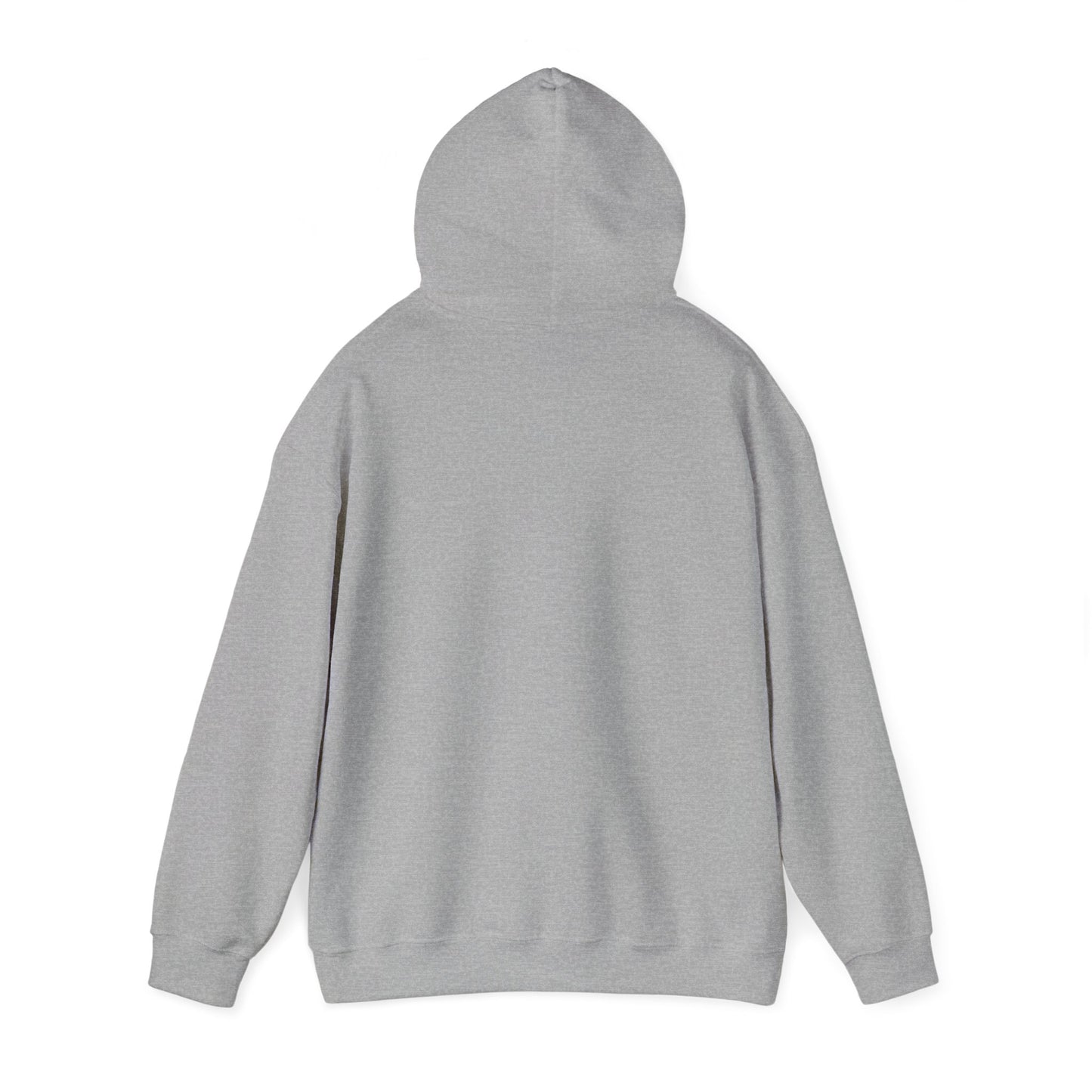 American Traditional Bird and Snake Print, Unisex Hooded Sweatshirt