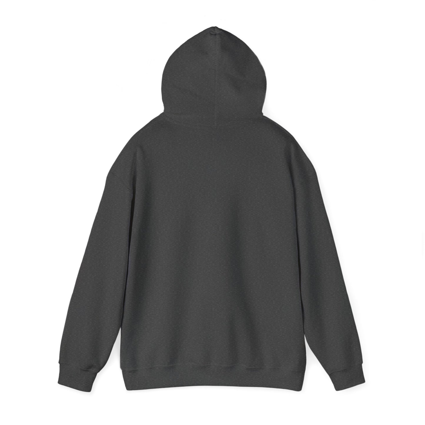 American Traditional Bird and Snake Print, Unisex Hooded Sweatshirt