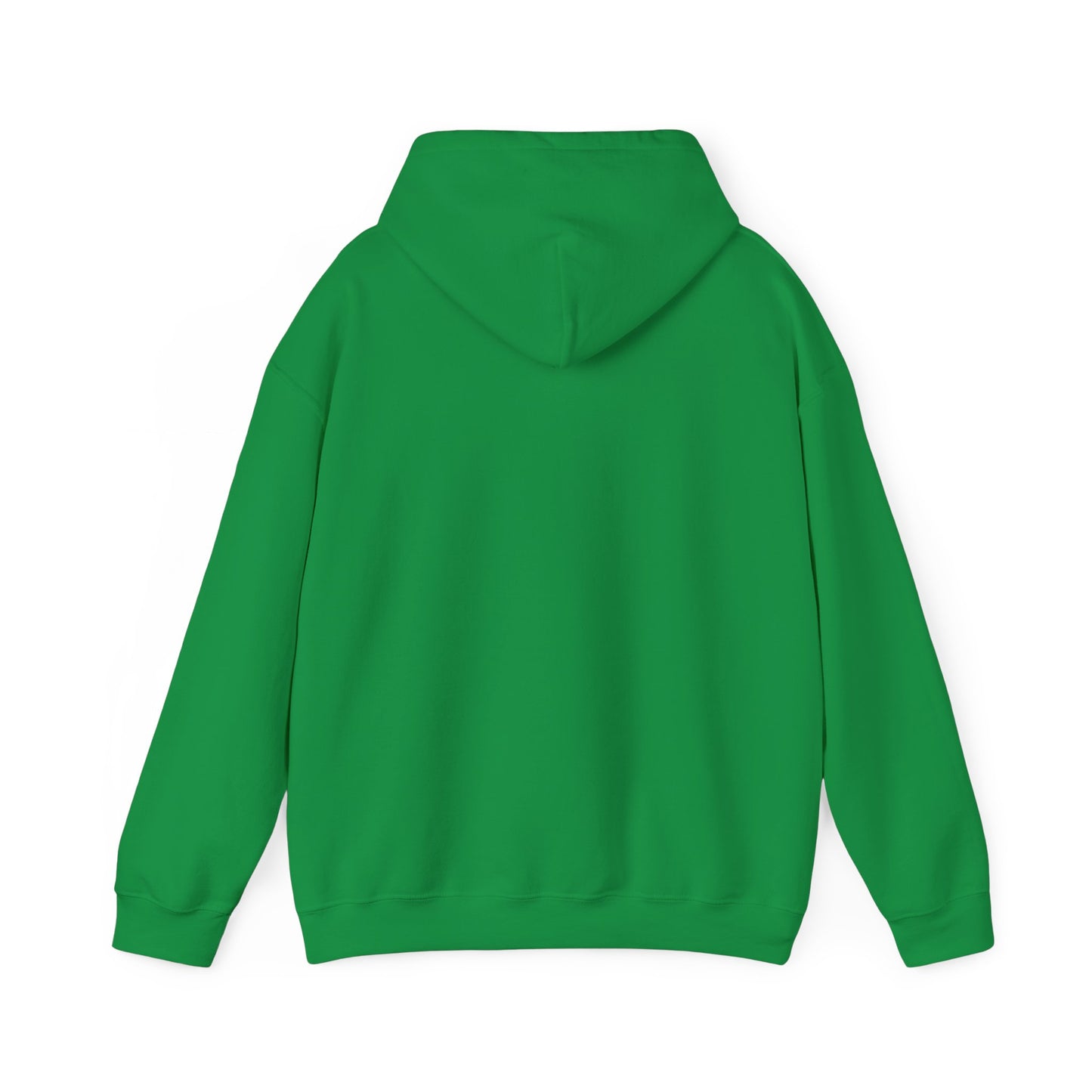 Pigeon Riding a Gator Unisex Hoodie